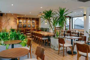 Độc đáo với không gian quán số 1 Xứ Tuyên, Cafe TIKTOK
